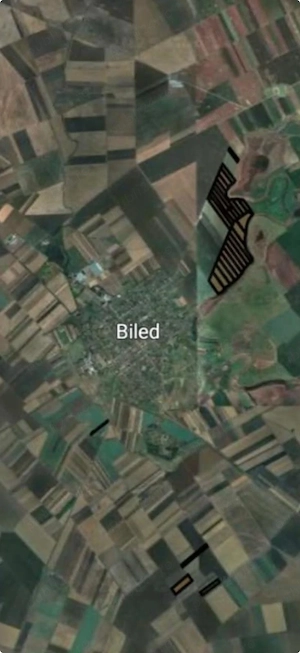 Vand 103 Ha Teren Agricol compact in Judetul Timis