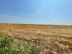 Vand 103 Ha Teren Agricol compact in Judetul Timis - imagine 3