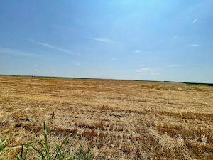 Vand 103 Ha Teren Agricol compact in Judetul Timis - imagine 12