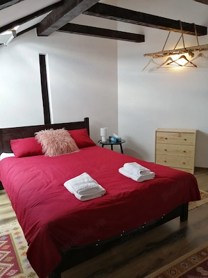 Pensiune Casa de vacanta  de vanzare  6 camere Paltinis Sibiu  - imagine 6