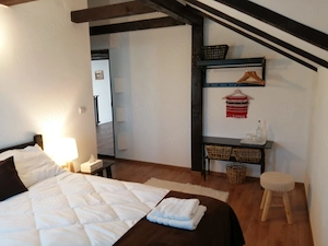 Pensiune Casa de vacanta  de vanzare  6 camere Paltinis Sibiu  - imagine 10