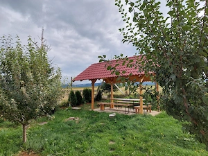 Pensiune Casa de vacanta  de vanzare  6 camere Paltinis Sibiu  - imagine 7