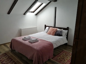 Pensiune Casa de vacanta  de vanzare  6 camere Paltinis Sibiu  - imagine 9