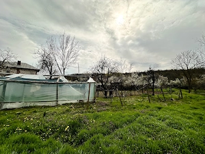 Casă P+1 cu teren 2.470 mp, livadă, anexe și gospodărie completă   Mîrțești, Săpata, Argeș - imagine 14