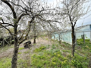 Casă P+1 cu teren 2.470 mp, livadă, anexe și gospodărie completă   Mîrțești, Săpata, Argeș - imagine 13