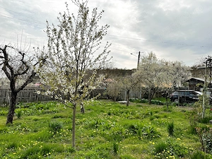 Casă P+1 cu teren 2.470 mp, livadă, anexe și gospodărie completă   Mîrțești, Săpata, Argeș - imagine 4