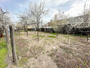 Casă P+1 cu teren 2.470 mp, livadă, anexe și gospodărie completă   Mîrțești, Săpata, Argeș - imagine 16