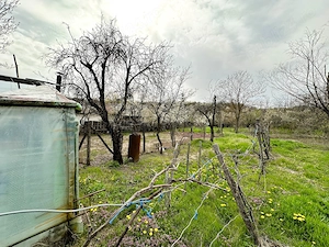 Casă P+1 cu teren 2.470 mp, livadă, anexe și gospodărie completă   Mîrțești, Săpata, Argeș - imagine 15