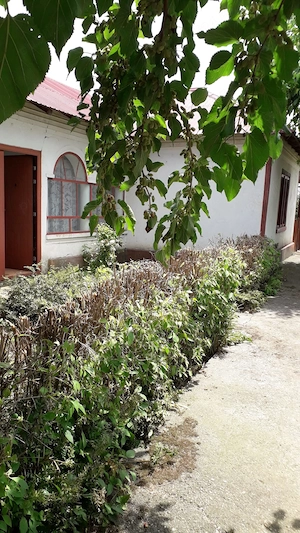 Casa comuna Stoicanești, județul Olt - imagine 3