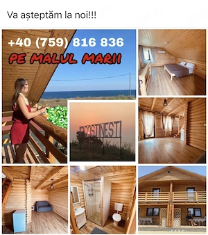 Camere sau Apartamente în bungalouri de copaci