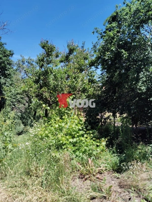 OCAZIE !!!! SE VINDE URGENT CASA- ZONA  LUNEI-128.000 euro - imagine 17