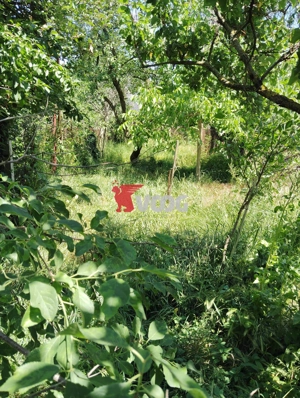 OCAZIE !!!! SE VINDE URGENT CASA- ZONA  LUNEI-128.000 euro - imagine 18