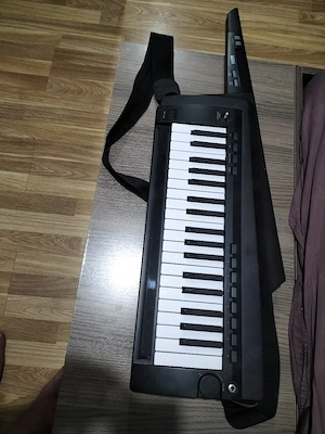 keyboard korg model RK100