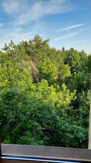 Închiriez garsonieră cu vedere la râul Colentina!