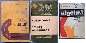 Pachet 3 Cărți Clasice de Algebră   Matematică Liceu (Năstăsescu, Panaitopol)