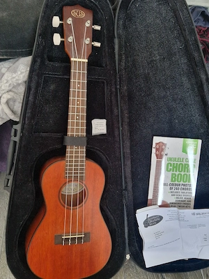 Ukulele Solid Mahogany marime Concert
