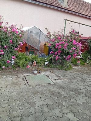 casa vânzare