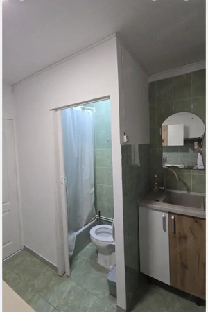 Camera de camin cu baie, 21.49 mp, complet utilata, zona Lapus - imagine 8