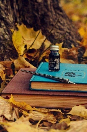 Meditații limba și literatura română limba engleză (gimanziu, Evaluare Națională,  Bac, poliție etc)