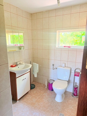 Vand casa, teren si padure in comuna Danicei, judetul Valcea - imagine 8