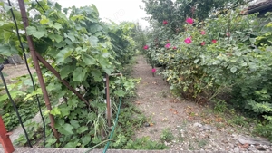 Casa cu teren de 915 mp și front de 20 ml