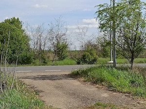 Valea lui Mihai Teren intravilan