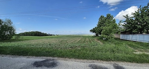 Teren intravilan 3.500 mp, 25 m deschidere la asfalt