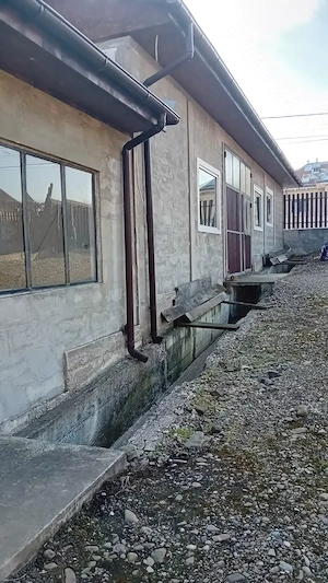 Vând casa in Tarpesti cu spatiu comercial la parter - imagine 5