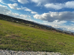 Teren de vanzare
