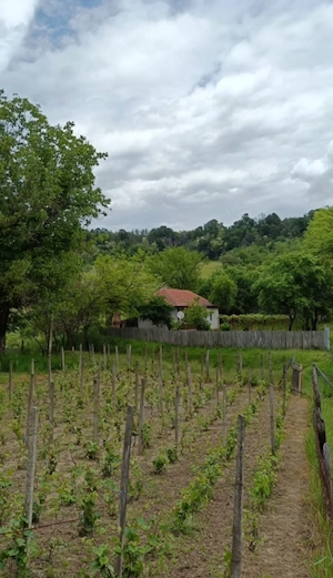 Casă de vânzare în comuna Husnicioara  - imagine 5