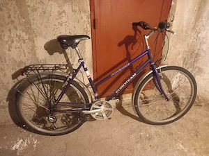Bicicleta FIRENZE Euroteam
