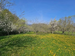 Casa si teren de vanzare
