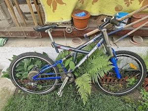 bicicleta adulti