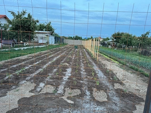 Lot 100 cercei , 7 lei perechea,  otel inoxidabil auriu si argintiu