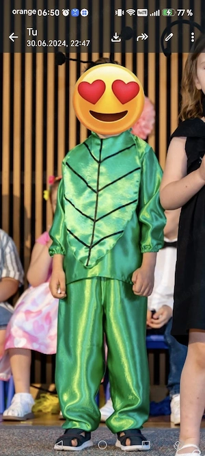 Costum serbare