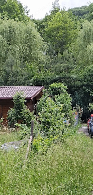 Vand Casa de vacanta comuna Coas, Valea Slav - imagine 4