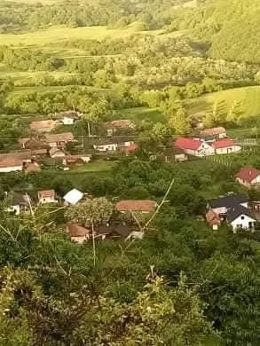 Terenuri agricole de vânzare  - imagine 4