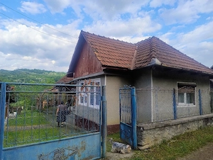 Casa situata la munte, aproape de muntele Gaina in Apuseni, in judetul Arad - imagine 5