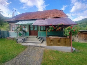 Casa situata la munte, aproape de muntele Gaina in Apuseni, in judetul Arad - imagine 3