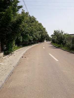 Vând grădină în Tg.Frumos