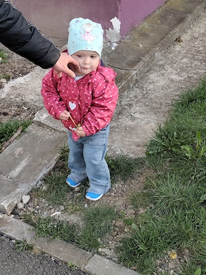 Cărucior fetiță 