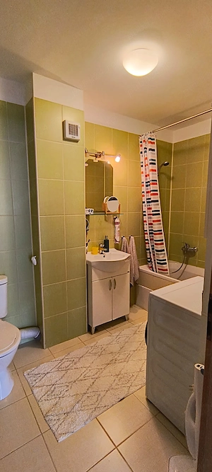 Florilor 180 , Floresti  - imagine 5