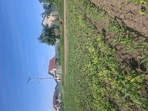 Vand teren pt casa