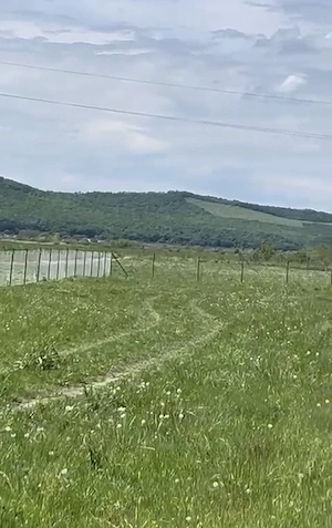 Vând teren intravilan , localitatea Chintelnic - imagine 6