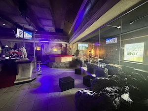 Căutăm hostes pentru vip hostes luxury  - imagine 4