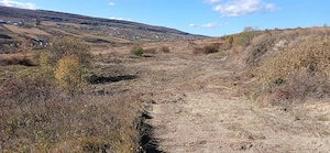 Vand 3176 mp de teren extavilan in zona Valea Chintaului