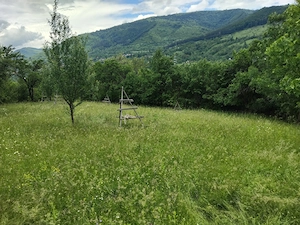 Teren intravilan de vânzare 