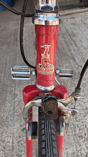 Mini Semicursiera Raleigh