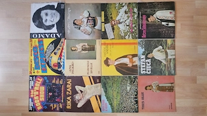 Lot 12 Viniluri   Muzică Populară & Retro (Stare Excelentă)