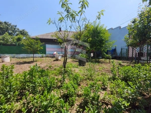 CASA  POIANA | PANOURI SOLARE | TEREN 800 MP - imagine 9